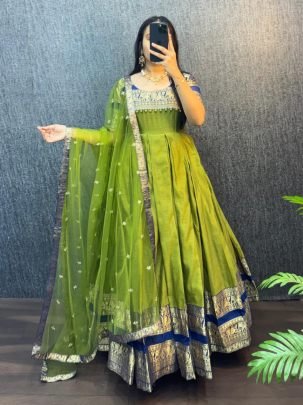 Premium Narayanpet Silk Gown with Sequin Dupatta 4m Flare